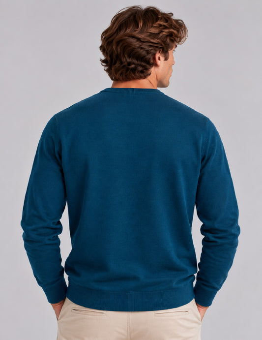 MAGLIA GIROCOLLO CON LAVORAZIONE A PUNTI - back - 002