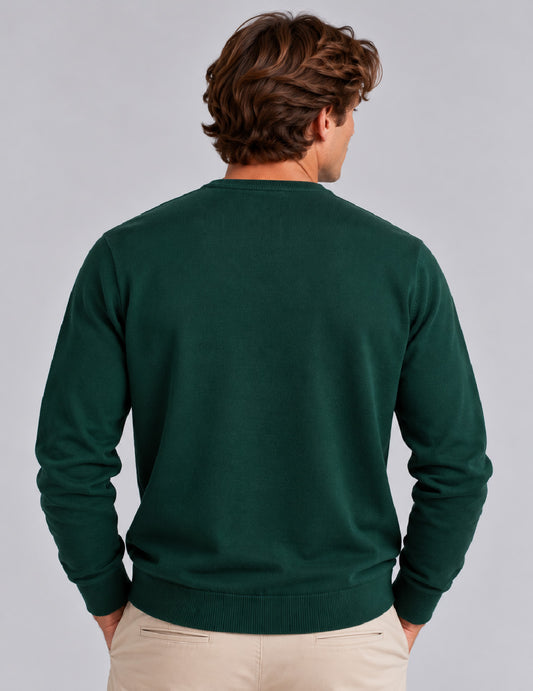 MAGLIA GIROCOLLO CON LAVORAZIONE A PUNTI - back - 002